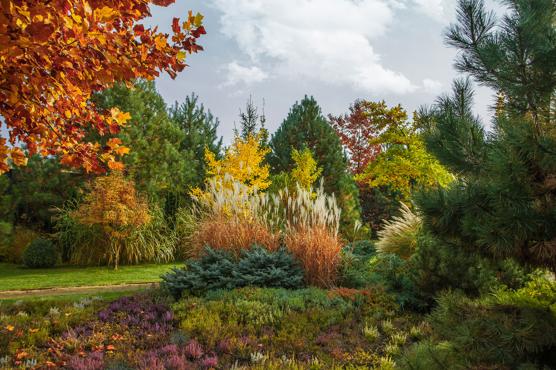 Mountain Tree & Shrub Planting Instructions