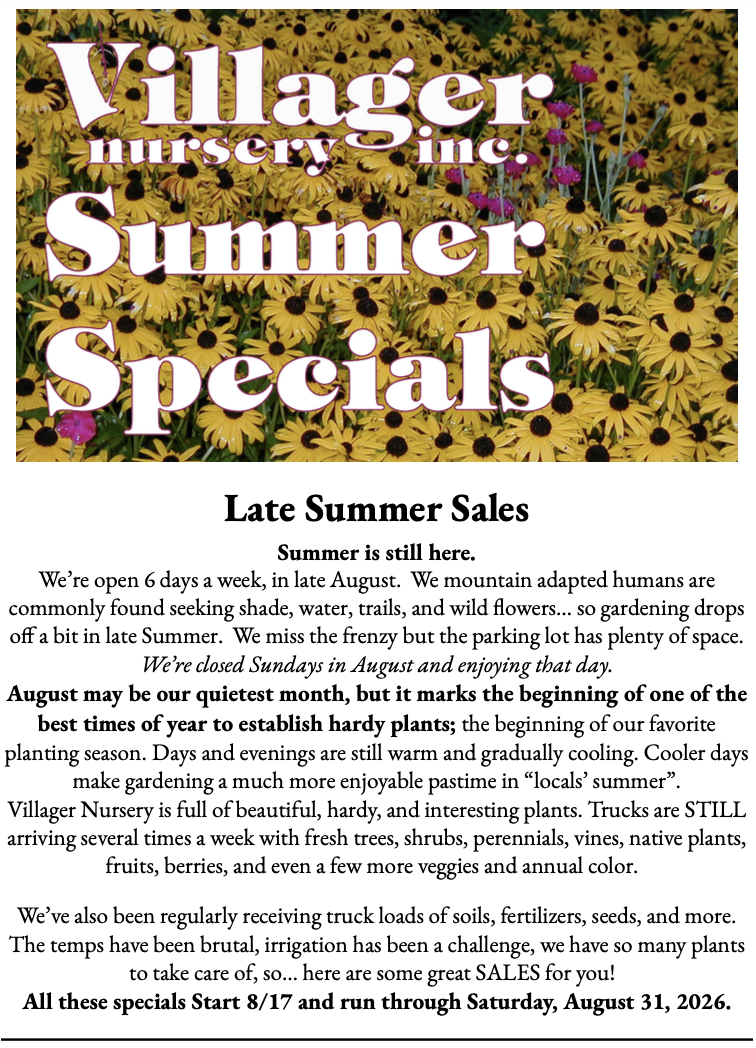 Late Summer Nursery Specials and Information August 17-31, 2026