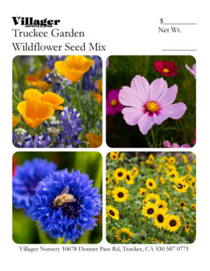 Truckee Garden Flowers
