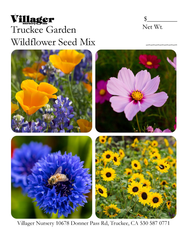 Truckee Garden Flowers