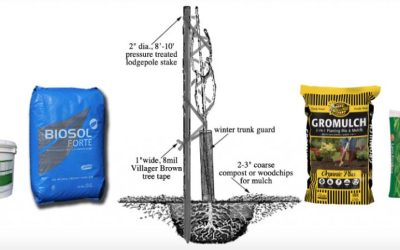 “Winterizing” lots of details – Class Handout