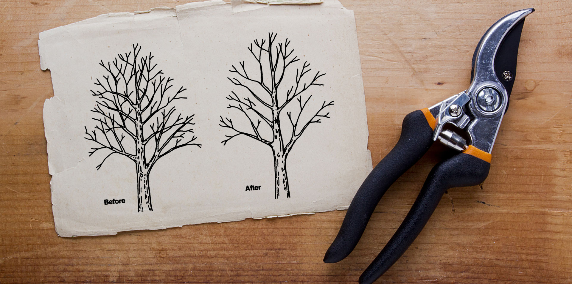 tree-repair